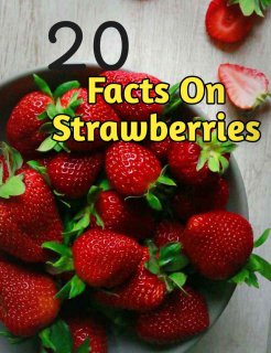 Fun Facts About Strawberries 2024