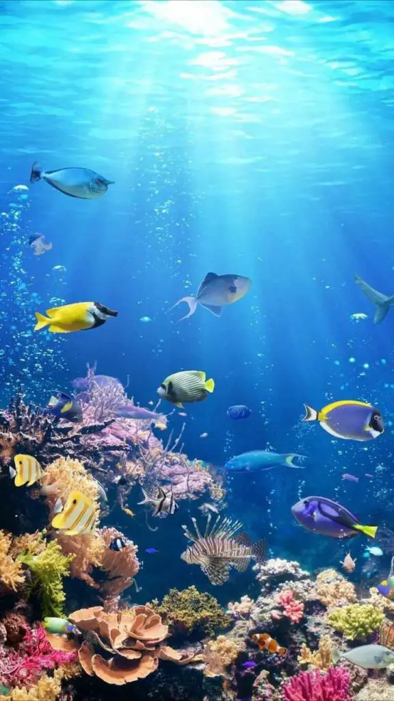 10 Interesting Fish Facts 2024