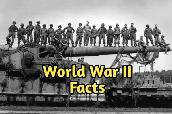 Cool Facts About World War 2 World War second facts 2024