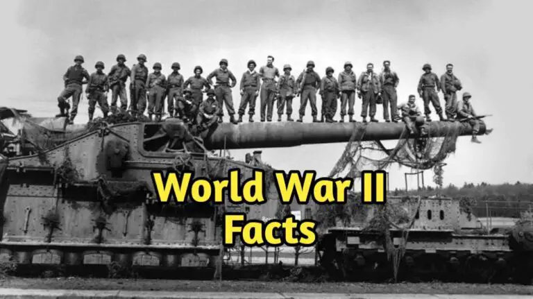 Cool Facts About World War 2 World War second facts 2024