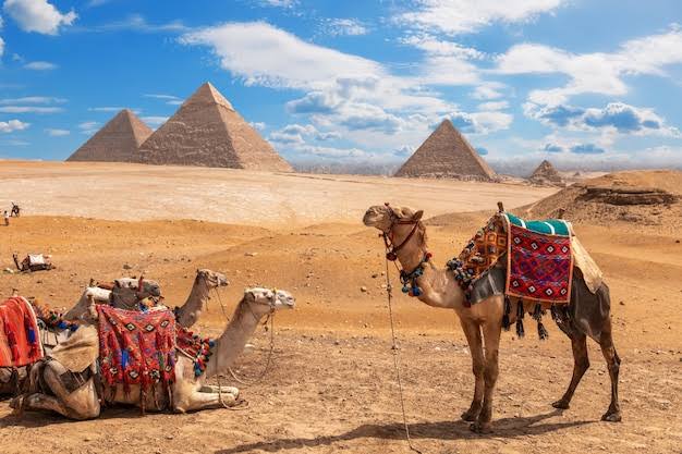 Fascinating Facts about Egypt : Land of Pharaohs and Pyramids l Facts About Egypt