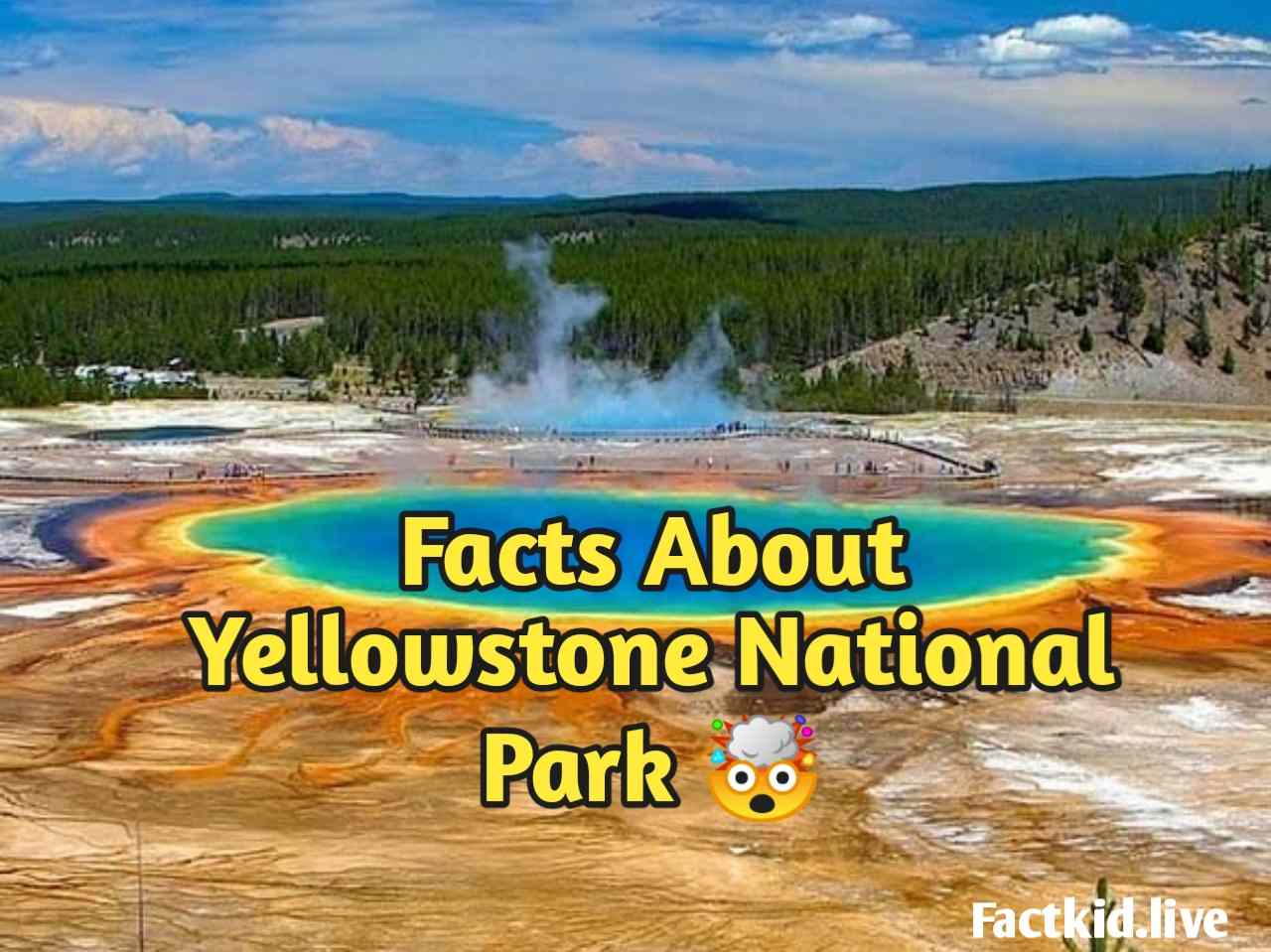 Fun Facts About Yellowstone National Park