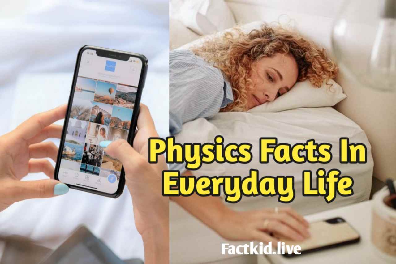 Physics Facts In Everyday Life